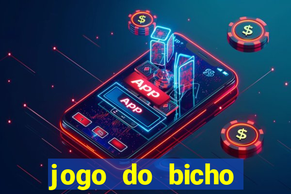 jogo do bicho crash bingo